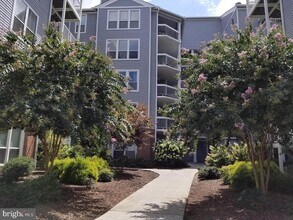 3178 Summit Square Dr in Oakton, VA - Building Photo - Building Photo