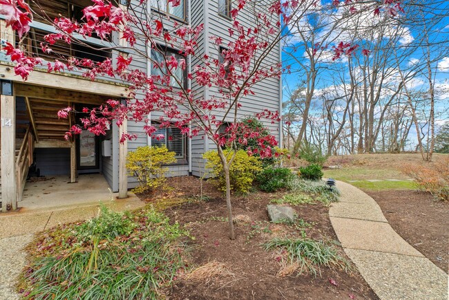 14 Spa Creek Landing in Annapolis, MD - Building Photo - Building Photo