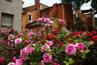 613 S Paca St in Baltimore, MD - Foto de edificio - Building Photo