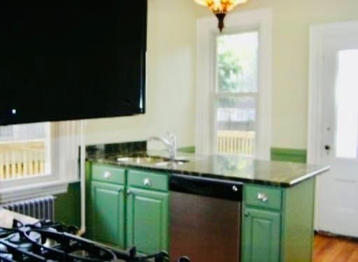 48 Alleghany St, Unit 1 in Boston, MA - Building Photo - Building Photo