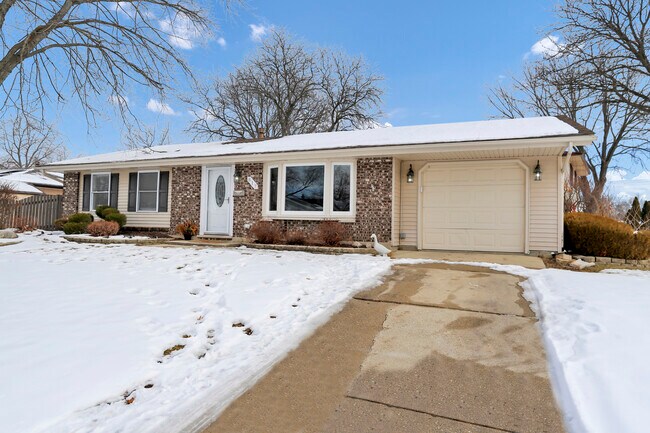 817 Stamford Ct in Schaumburg, IL - Building Photo - Building Photo