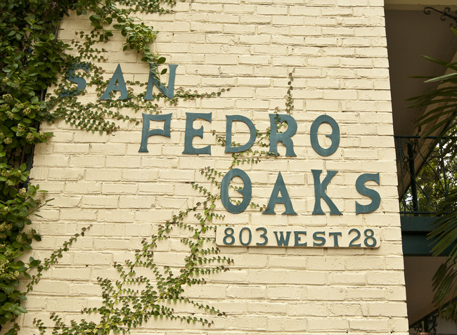 San Pedro Oaks in Austin, TX - Building Photo - Building Photo