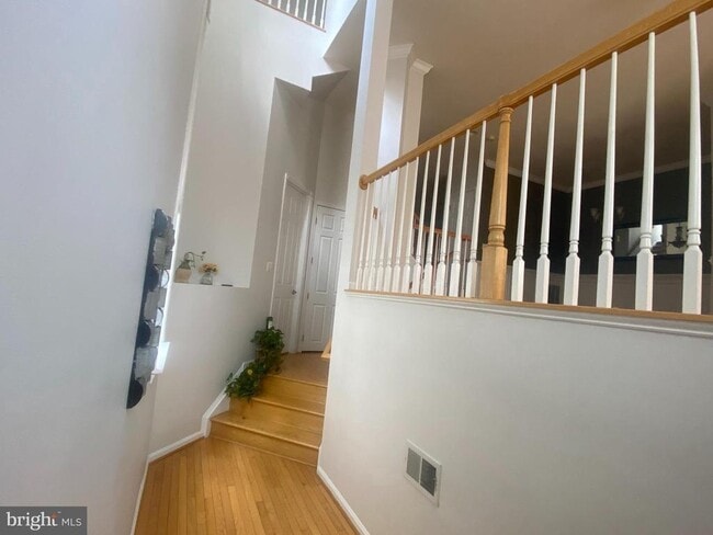 13030 Greg Roy Ln in Herndon, VA - Building Photo - Building Photo