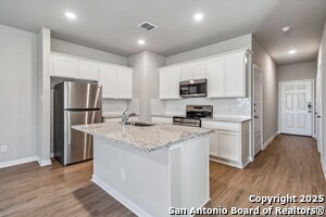 3908 Abbott Pass in Saint Hedwig, TX - Building Photo - Building Photo