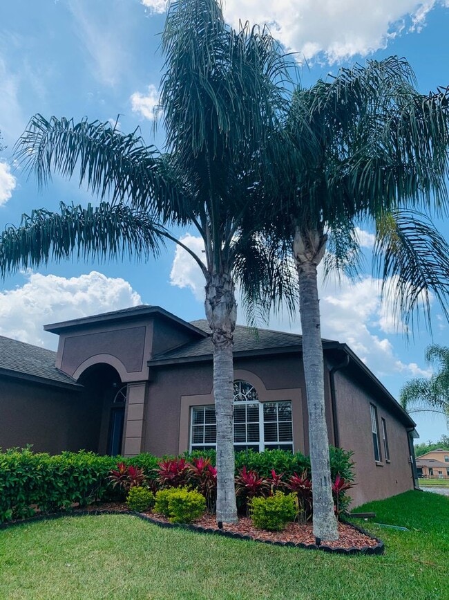 1245 Halapa Way in Trinity, FL - Building Photo - Building Photo
