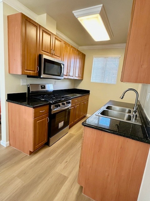 20202 Cohasset St in Los Angeles, CA - Building Photo - Building Photo