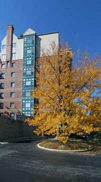 Elmhurst Place Apartments in Elmhurst, IL - Foto de edificio - Building Photo