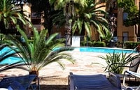 Chestnut Hill photo'