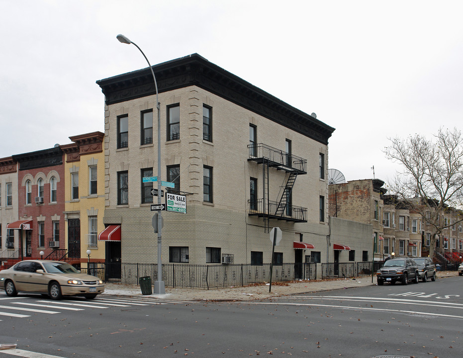 163 Schenectady Ave in Brooklyn, NY - Foto de edificio