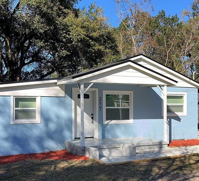 217 W Chelsea St in DeLand, FL - Building Photo - Building Photo