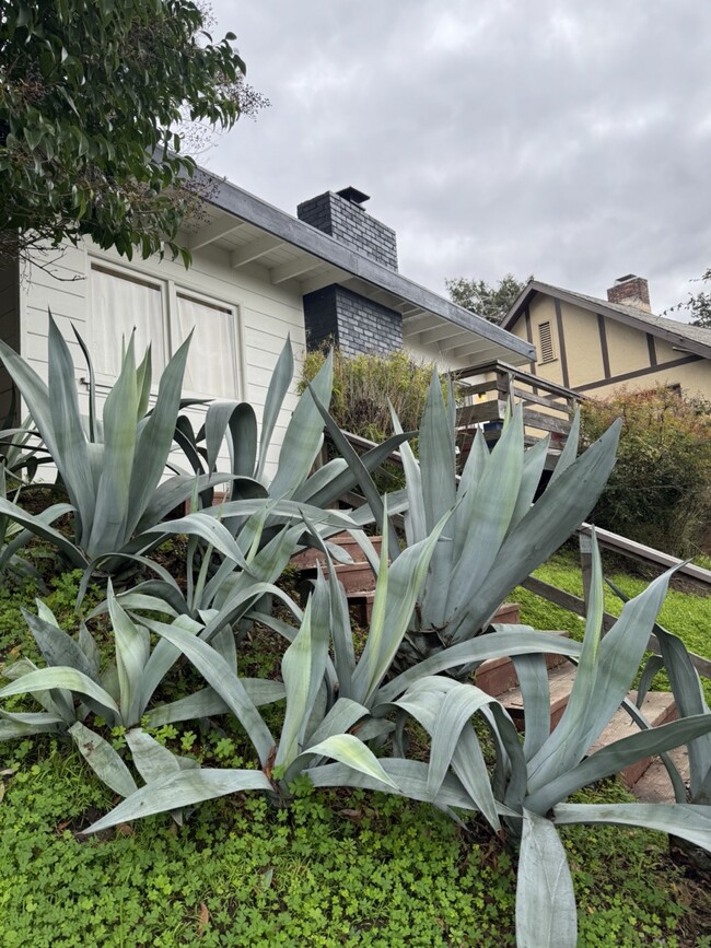 439 Arlington Ave in Berkeley, CA - Building Photo - Building Photo