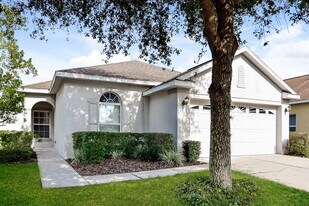 2906 Copper Heigt Ct in Valrico, FL - Building Photo