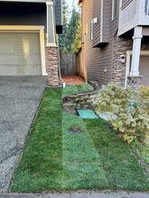 2018 171st Pl SW in Lynnwood, WA - Building Photo - Building Photo