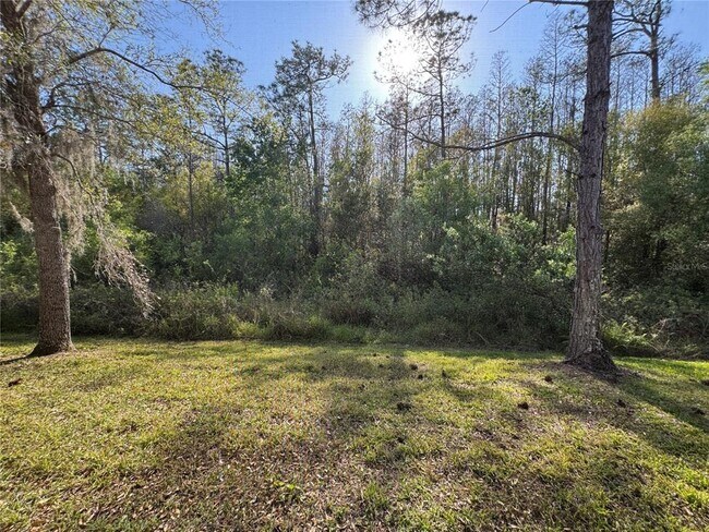 7866 Tuscany Woods Dr in Tampa, FL - Building Photo - Building Photo