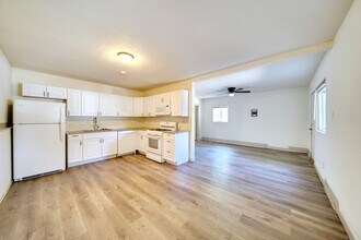 1002 E Rio Grande St in Colorado Springs, CO - Building Photo - Building Photo