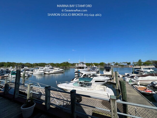 61 Seaview Ave, Unit 69 in Stamford, CT - Building Photo - Building Photo