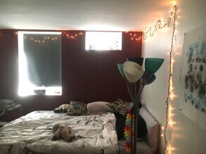 21 Putnam Ave, Unit 17-B in Cambridge, MA - Building Photo - Building Photo