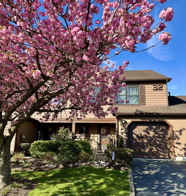 property at 15 Gallo Ct