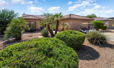 16171 W Wildflower Dr in Surprise, AZ - Foto de edificio - Building Photo