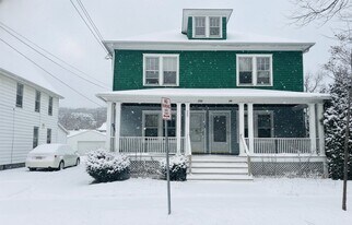 20 Elm St in Binghamton, NY - Building Photo