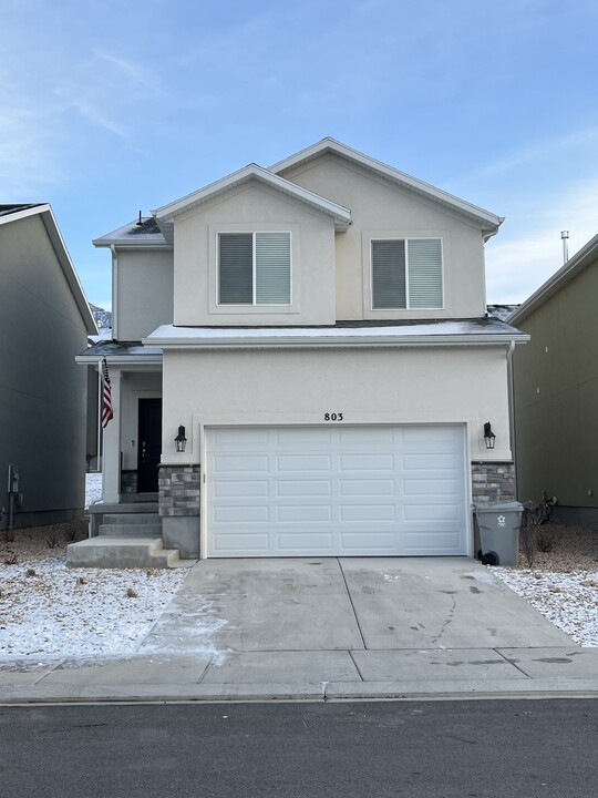 803 S Brubaker Way in Santaquin, UT - Building Photo