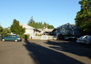 Brookpine Apartments in Salem, OR - Building Photo - Building Photo