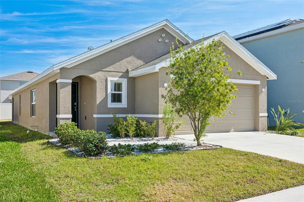 12182 Water Ash Pl in Riverview, FL - Building Photo