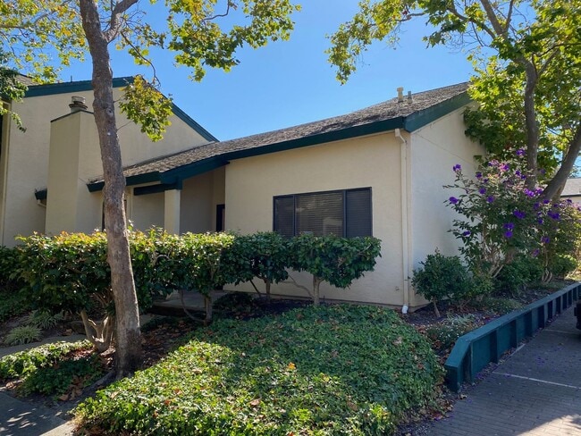 property at 201 Lagunaria Ln