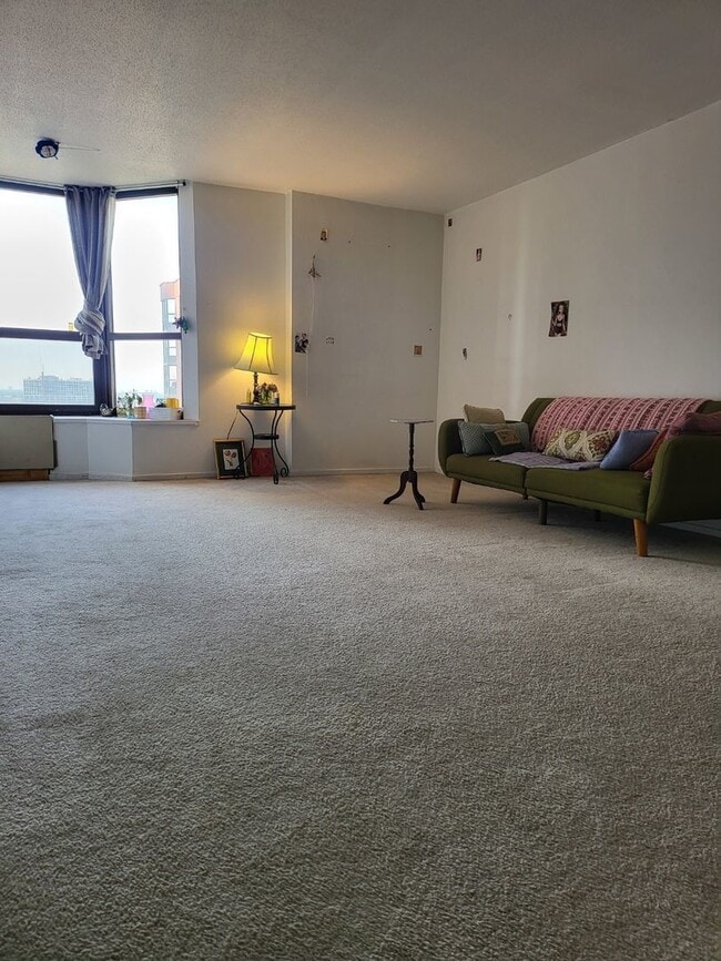 899 S Plymouth Ct in Chicago, IL - Building Photo - Building Photo