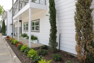 The Boxtree Apartments in Dallas, TX - Building Photo - Building Photo