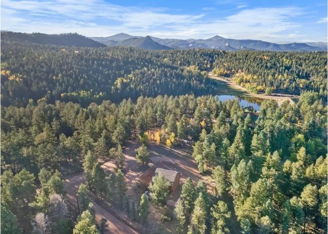 109 Garnet Way in Florissant, CO - Building Photo - Building Photo