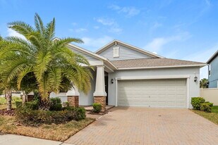 10071 Ivory Dr in Sun City Center, FL - Building Photo