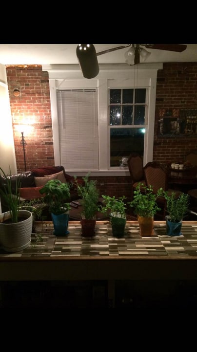 524 23rd St in Galveston, TX - Building Photo