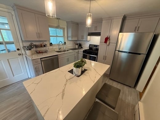 9 Charity Ln in Dedham, MA - Building Photo - Building Photo