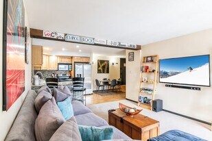 1040 Vail View Dr, Unit Snow Lion 203 in Vail, CO - Building Photo