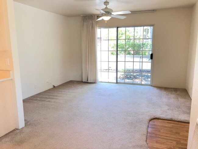 429 Mananai Pl in Honolulu, HI - Building Photo - Building Photo