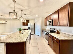 1026 Golden Shiner Ave in Ruskin, FL - Building Photo - Building Photo