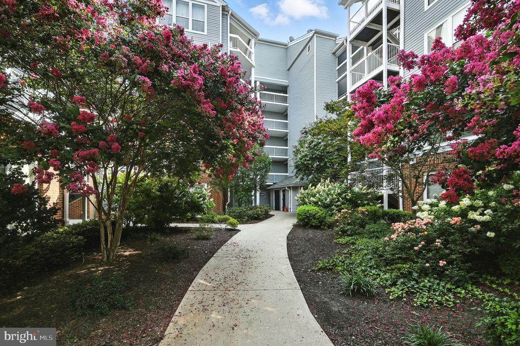 3175 Summit Square Dr in Oakton, VA - Foto de edificio