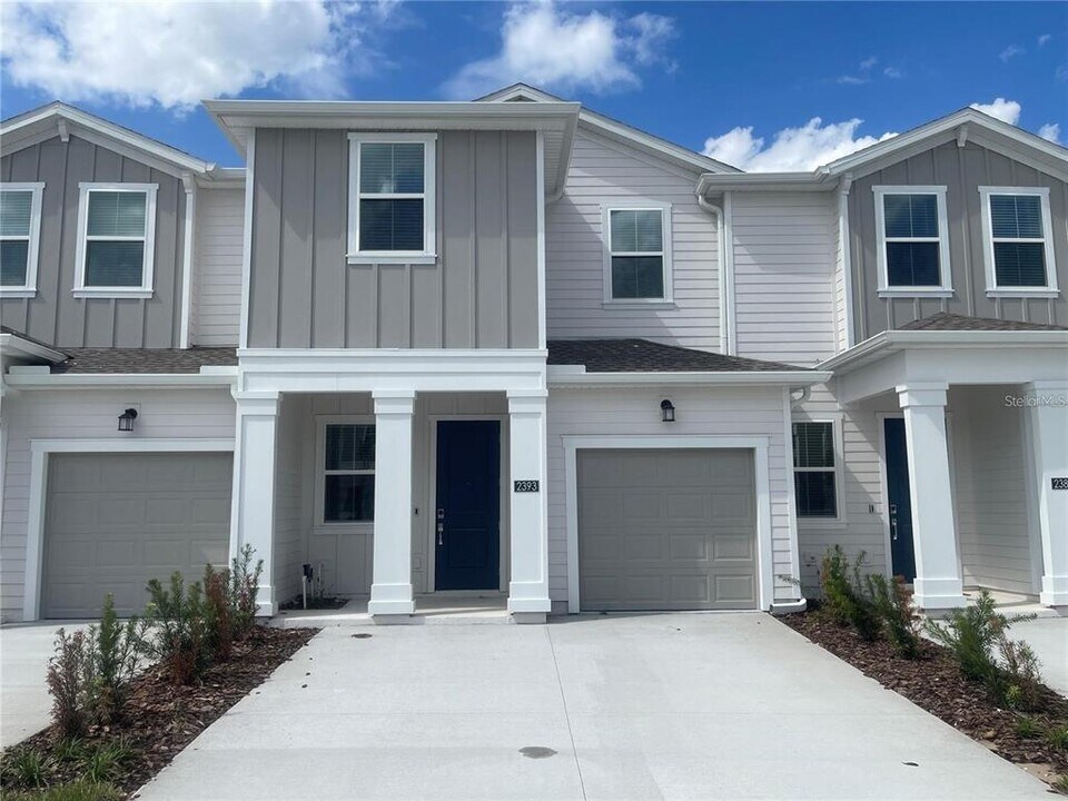 2393 Brook Marsh Lp in Kissimmee, FL - Building Photo