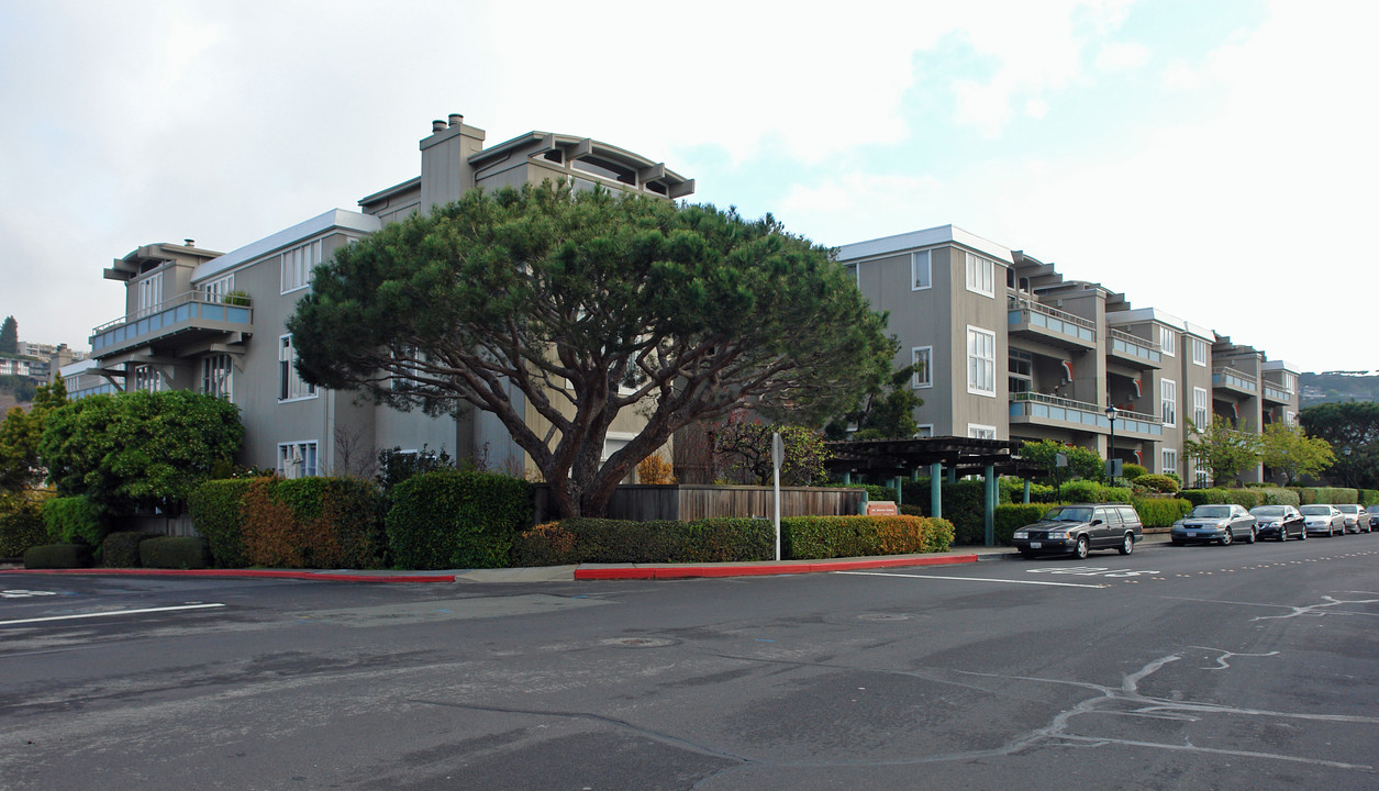 The Ark Apartments in Belvedere Tiburon, CA - Foto de edificio