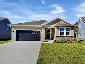6231 Emerald Hls Wy in Wesley Chapel, FL - Building Photo