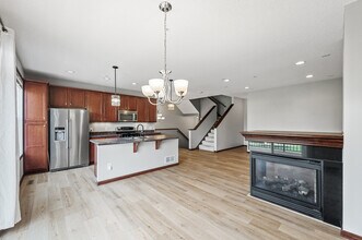 11917 Emery Village Dr N in Champlin, MN - Building Photo - Building Photo