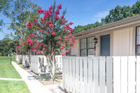 Pinellas Pines in Pinellas Park, FL - Foto de edificio - Building Photo