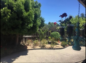 20112 Glenwood Dr in Castro Valley, CA - Building Photo - Building Photo