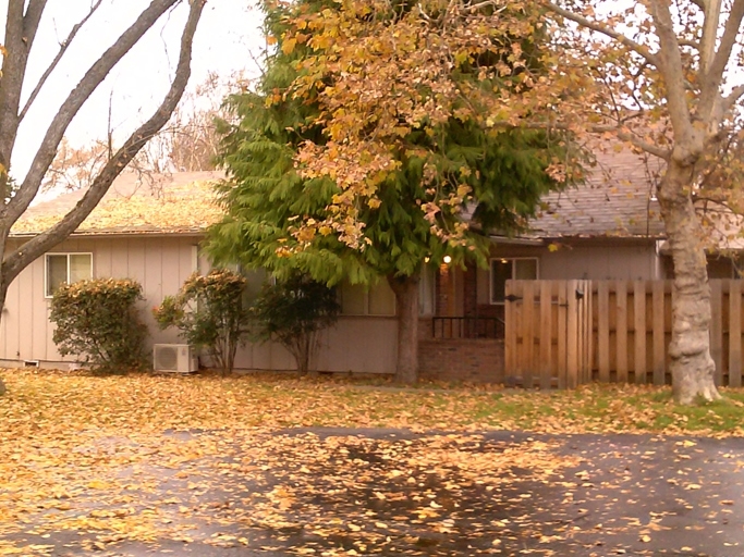 1113 E Main St in Medford, OR - Building Photo