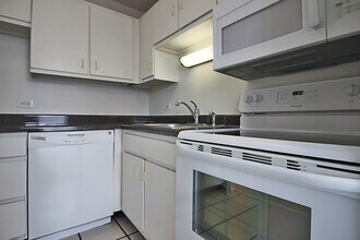 74 E Scott St, Unit 6505J in Chicago, IL - Building Photo - Building Photo