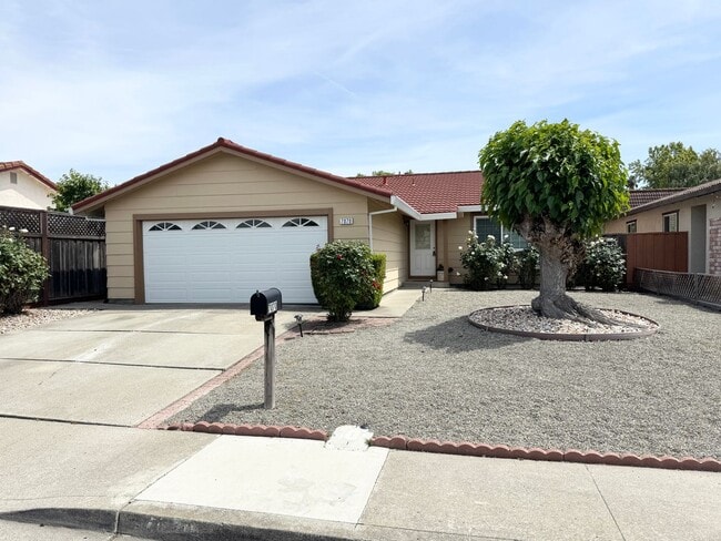 7070 Wineberry Way