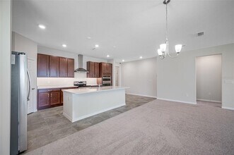 11810 Tetrafin Dr in Riverview, FL - Building Photo - Building Photo