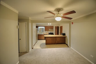 2343 Ogden Ave in Downers Grove, IL - Building Photo - Building Photo