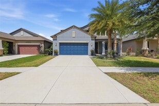 13917 Roseate Tern Ln in Riverview, FL - Building Photo